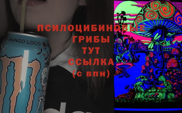 мескалин Алексин